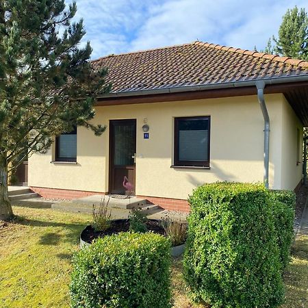 מארלו Ferienhaus Vogelmeer מראה חיצוני תמונה